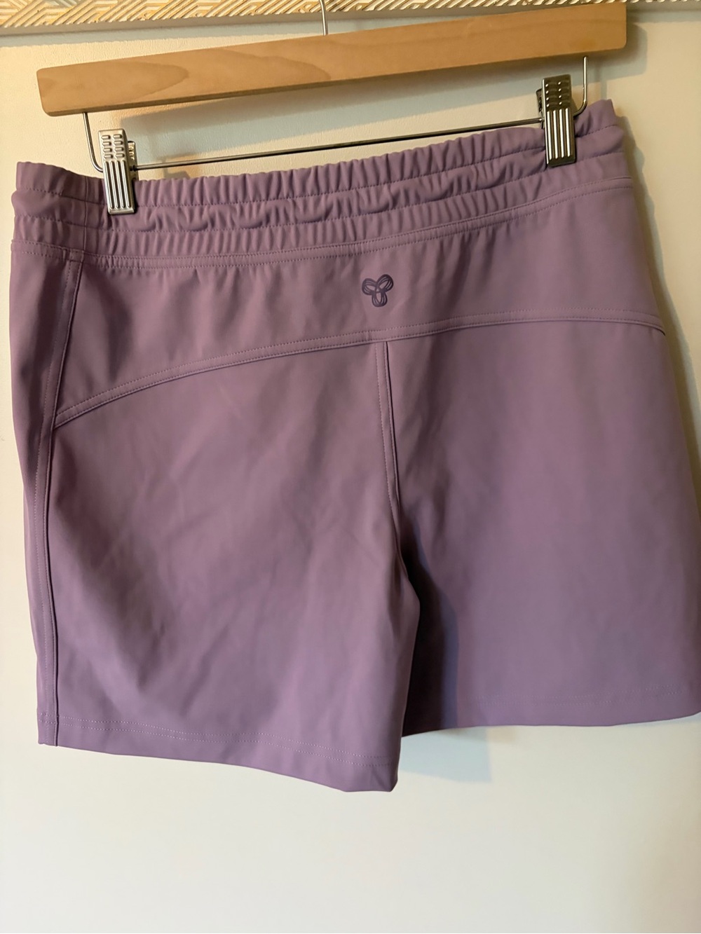 Aritzia Lavender Athletic Drawstring Short - Picture 4 of 4